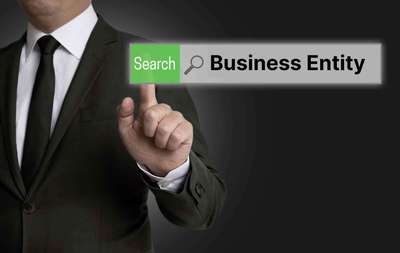 Why Search for a Delaware Business Entity